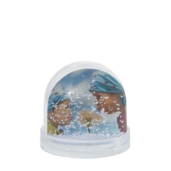 Photo snow globe